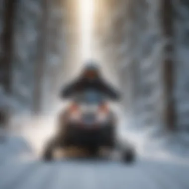 Snowmobiler navigating through snowy forest