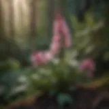 Turtlehead plant in bloom showcasing delicate pink flowers