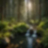 Scenic view of Umpqua Hot Springs surrounded by lush greenery