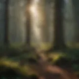 Majestic Forest Landscape in Oregon Majestic forest landscape in Oregon