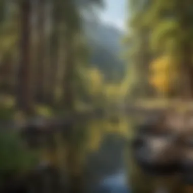 Historic site in Vallecito reflecting the cultural heritage of the region