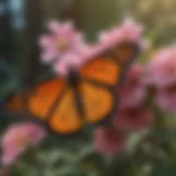 A vibrant monarch butterfly perched on a blooming flower