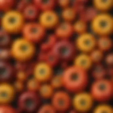 Colorful assortment of heirloom tomatoes