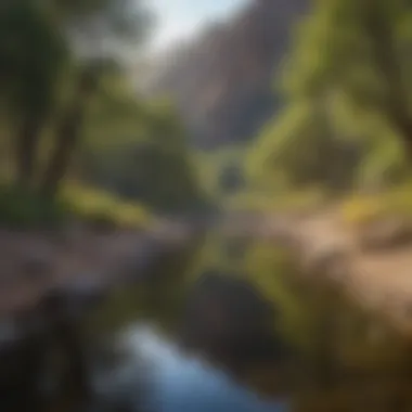 Visitors enjoying recreational activities in Ventura Canyon