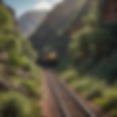 Lush Ecosystems of Verde Canyon Lush green ecosystems surrounding the railroad