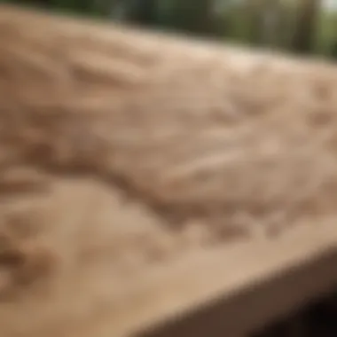 Artistic Plywood Filler Application Artistic use of plywood filler in woodworking projects
