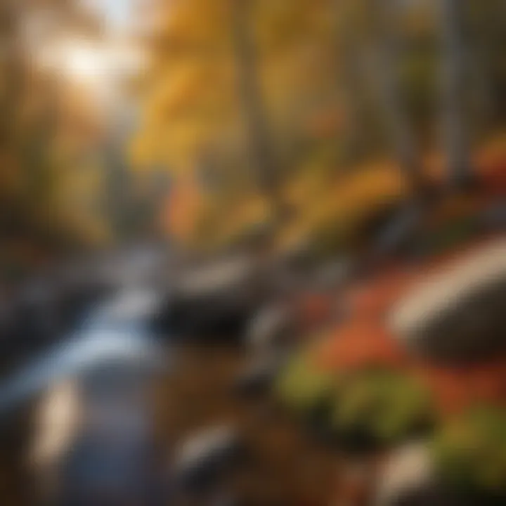 Vibrant autumn foliage in Waterville Valley