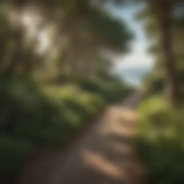 Scenic Coastal Pathway Scenic Coastal Pathway