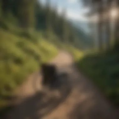 Mountain Vista Trail Mountain Vista on Wheelchair Friendly Trail