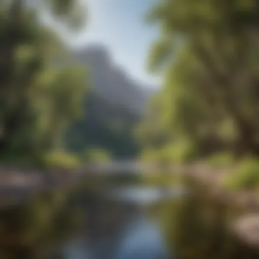 Panoramic view of Wheeler Gorge Campground showcasing lush greenery and scenic mountains