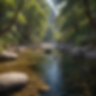 A serene river flowing through Wheeler Gorge, surrounded by vibrant flora