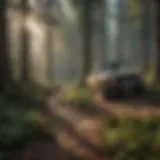 A serene forest landscape showcasing biodiversity