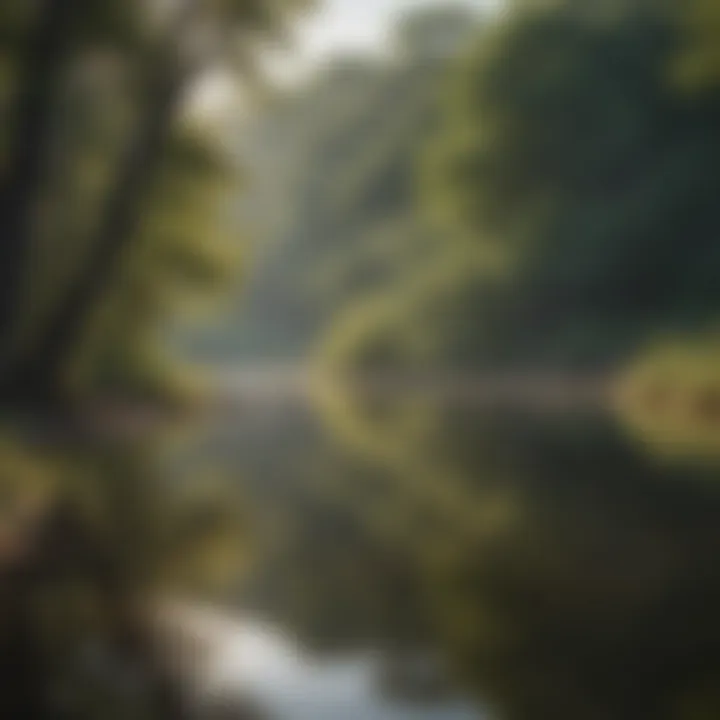 A tranquil lake within a Wildlife Management Area, reflecting the surrounding wildlife habitat