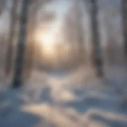 Stunning winter landscape in Munising with snow-covered trees.