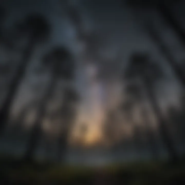 Silhouette of trees under a starlit sky in a dark sky preserve