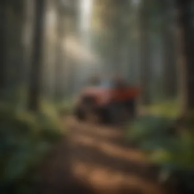 Eco-friendly Forestry Practices Illustration