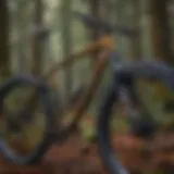 Precision Crafted Bike Frame