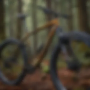 Precision Crafted Bike Frame