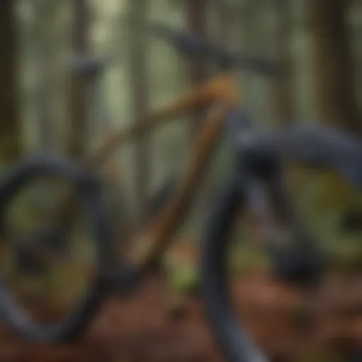 Precision Crafted Bike Frame