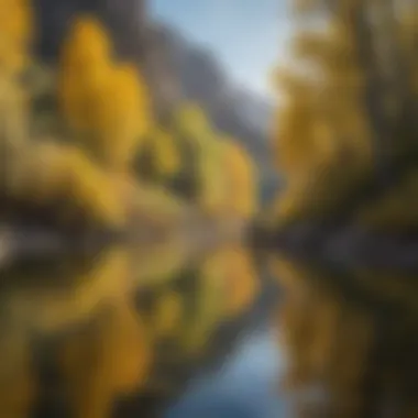 Fly Fisherman Casting Perfect Loop in Serene Wyoming Waters Fly Fisherman Casting Perfect Loop in Serene Wyoming Waters