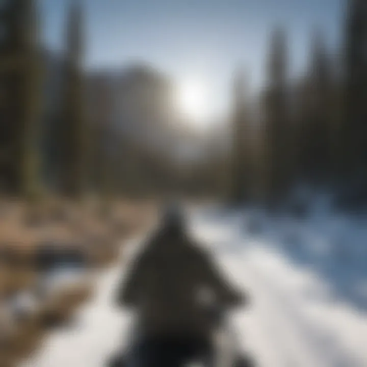 Rider admiring the panoramic view of Yosemite on a snowmobile