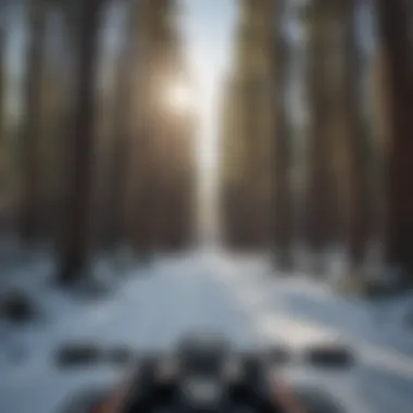 Snowmobile journey through a pine forest in Yosemite National Park