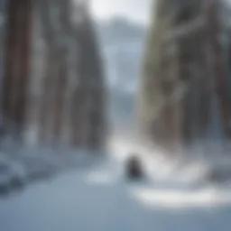 Snowmobile gliding through a snowy path in Yosemite National Park