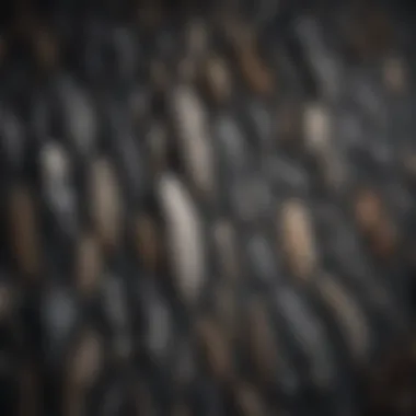 Feather Collection of Moonlight