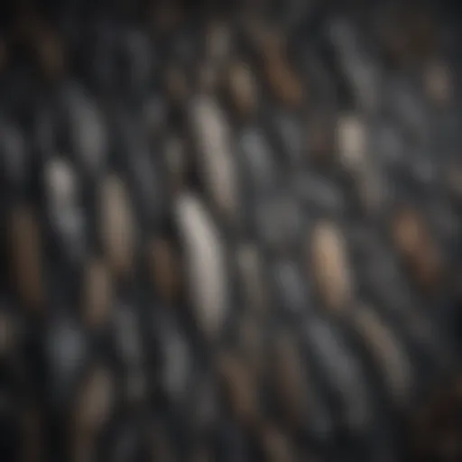 Feather Collection of Moonlight