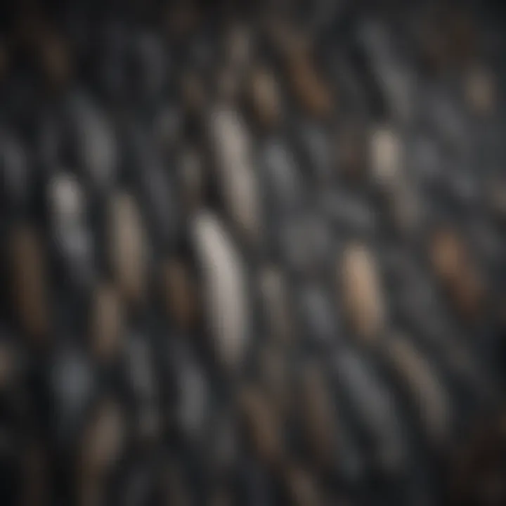 Feather Collection of Moonlight