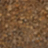 Variety of Firewood Types in Houston