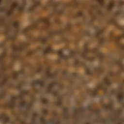 Variety of Firewood Types in Houston