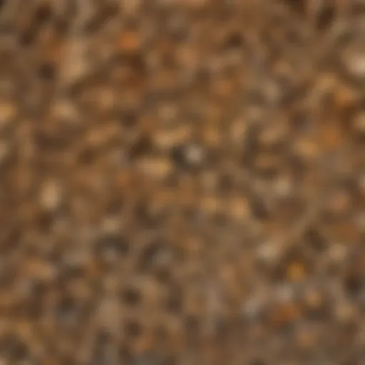 Variety of Firewood Types in Houston