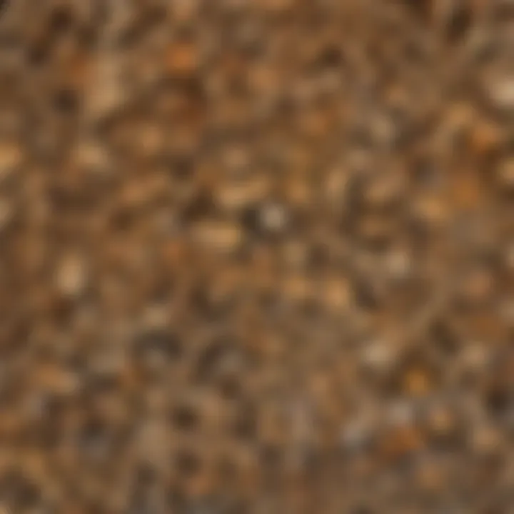 Variety of Firewood Types in Houston