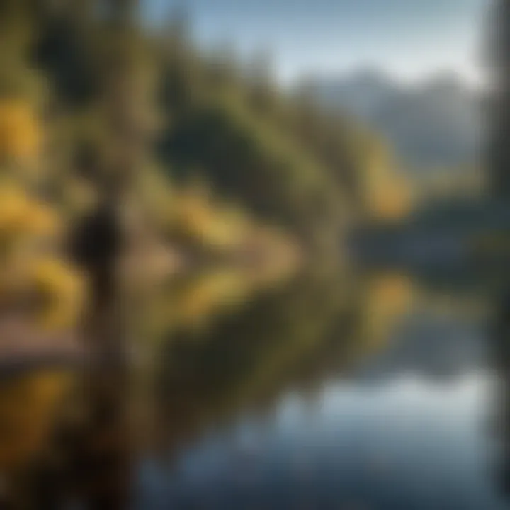 Angler casting a line into a vibrant lake