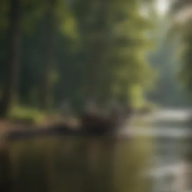 Acquiring a Fishing License in Kentucky Illustration of Fishing License Application Process in Kentucky