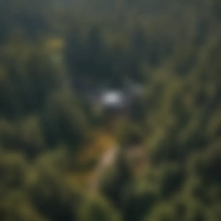Aerial Surveillance for Forest Conservation Forest Monitoring Drone