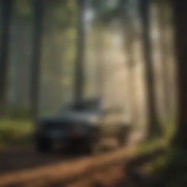 Forestry Conservation Practices