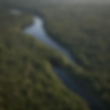 Aerial view of Alabama showcasing its diverse landscapes