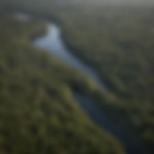 Aerial view of Alabama showcasing its diverse landscapes