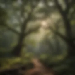 Majestic tree canopy in Georgia forest