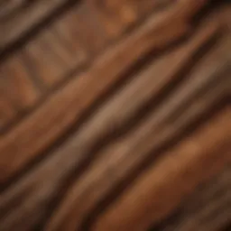 Close-up of Gilmer Hardwood grains showcasing unique patterns and textures.