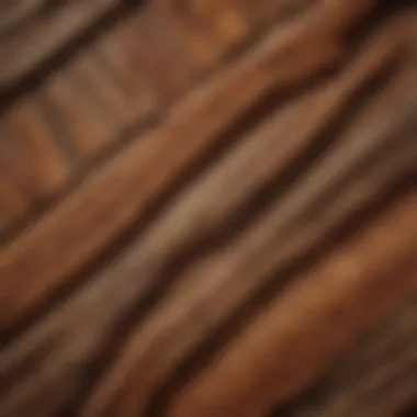 Close-up of Gilmer Hardwood grains showcasing unique patterns and textures.