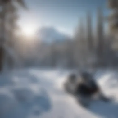 Glacial Serenity of White Mountain Snowmobile Trails