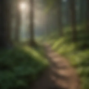 Lush Forest Trail in Glacier Valley