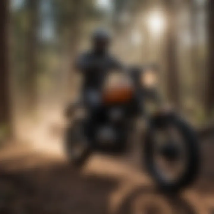 Unleash Your Adventurous Spirit at Go AZ Motorcycles