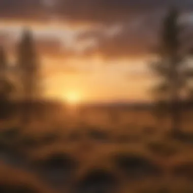 Prairie Glow at Dusk Golden sunset over vast open prairie