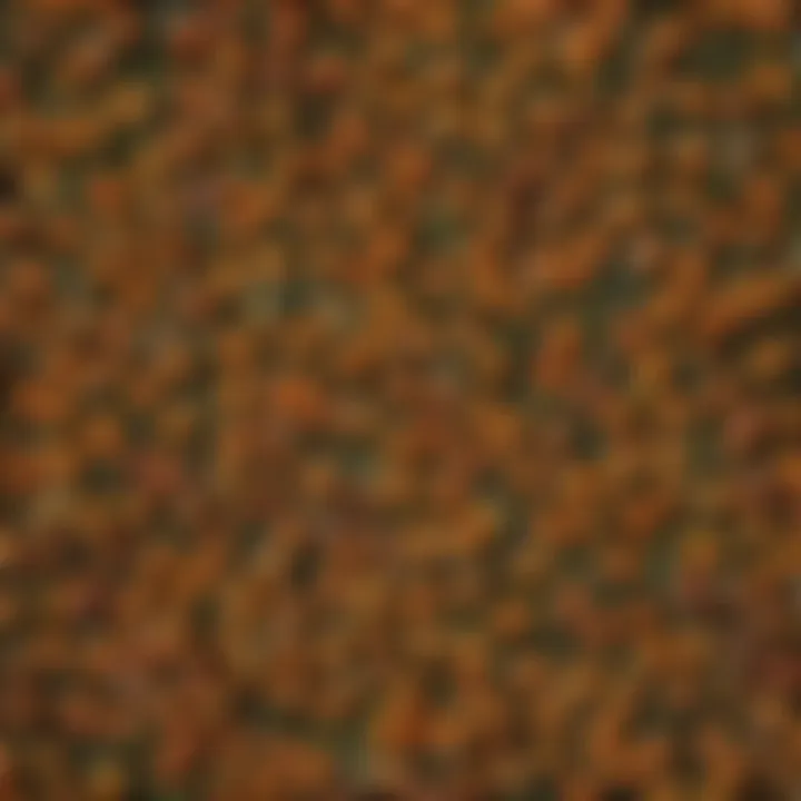 Goldenseal Capsules Arrangement