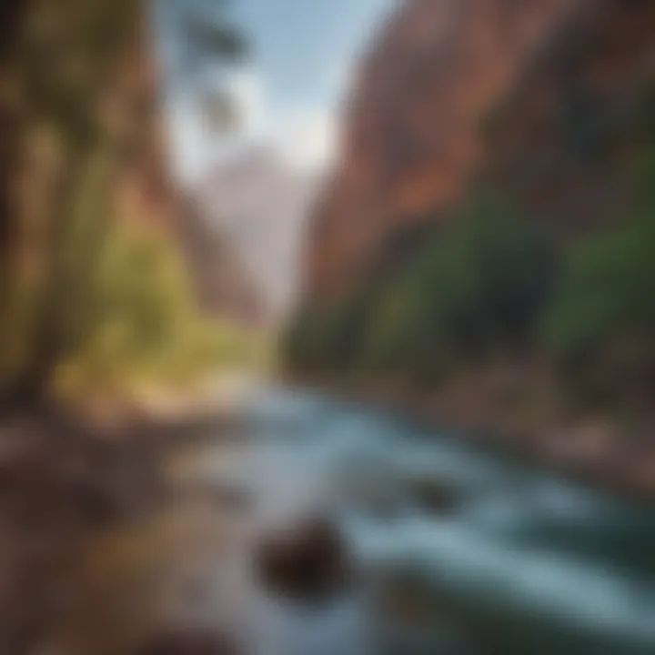 Eternal Flow of Grand Canyon River Grand Canyon River Flow