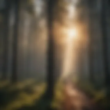 The Symphony of Temperature Regulation Illustration portraying the impact of greenhouse gases on temperature regulation